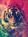 Picsart profile picture for @sophia19